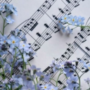 forgetᯇmeᯇnot idols ‧₊˚❀༉‧₊˚. Discord server icon