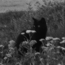 Mysterious Modern Roleplay Server