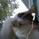 ♩ ♪ ♩