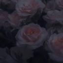 ℝ.𝕋.𝔹