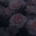 ℝ.𝕋.𝔹 Discord server icon