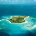 ✧  ྀ ྀ ͚∘Sign of Crows∘ ͚  ྀ ྀ✧ Discord server icon