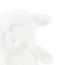 ˚   ︵   cloudii   ◌ ☁ Discord server icon