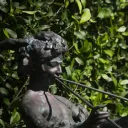 The Sacred Grove