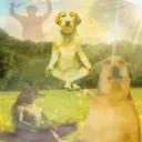 Server icon for sanctus