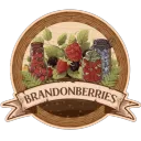 The Berry Patch