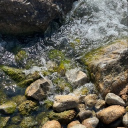 MOGAI Meadow Discord server icon