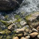 MOGAI Meadow