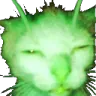 Rhia streams sometimes :D