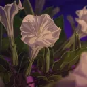 [18+] Archives of a Kingdom | the apothecary diaries