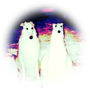 𐂯𓈒   𝒮hitlord's 𝒞oke 𝒞astle    !! Discord server icon