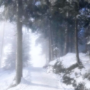 𖥔﹒ the sun's decay Discord server icon