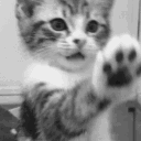 ♡⸝⸝ 𝓮𝓽𝓮𝓻𝓷𝓪𝓵 Discord server icon