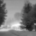 fuyucord Discord server icon