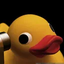 Duck Arena
