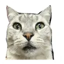 חנוז