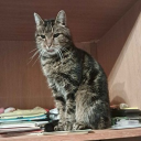 Skies vs oceans <3 Discord server icon