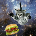 ༘⋆ sillies !! ⪩. .⪨ || make friends :3 Discord server icon