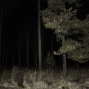 ands0itc0ntinues || Slenderverse Series Community