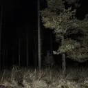 ands0itc0ntinues || Slenderverse Series Community
