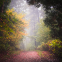 make friends Discord server icon