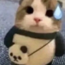 【 𝙴 𝚛 𝚓 𝚞 𝚍 𝚘 】 Discord server icon