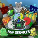 B&V Services