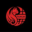 TCPCAT #network