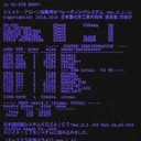 ▞ 🐇 ﹒ R4BB1TS . EX3 ﹅ ✦