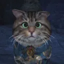 Purrr Leisure