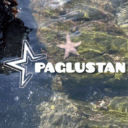 ✧･ﾟPaglustan･ﾟ✧ Discord server icon