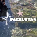 ✧･ﾟPaglustan･ﾟ✧