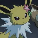 z00itje's Eeveelutions