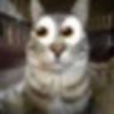 looking for a gf/partner Discord server icon