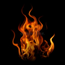 Slow Burn Society Discord server icon