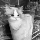syscure