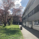 Hopes peak college Discord server icon