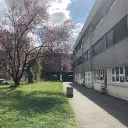 Hopes peak college Discord Server Icon