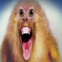 tuff boi gang Discord server icon