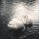 ᯓ✦∘𝑅𝓊𝓃𝑒𝓈 /join  ☁  sfw.  tags.  events.  social.  friends.