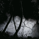 𝕄𝕪𝕤𝕥𝕚𝕔 𝔽𝕒𝕝𝕝𝕤 𝔹𝕝𝕠𝕠𝕕𝕝𝕚𝕟𝕖