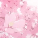 kitty community Discord server icon