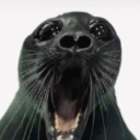 dikinbaus Discord server icon