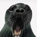 dikinbaus