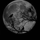 ☢⚠𝔻𝕚𝕘𝕚𝕥𝕒𝕝 ℂ𝕙𝕒𝕠𝕤⚠☢ Discord server icon