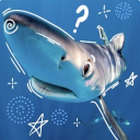 Blub