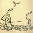 🐍 Serpents of Old