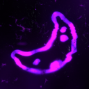 Server Icon