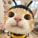 Catnip & Coffee