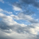 ⚘　𝐅𝐨𝐫𝐬𝐚𝐤𝐞𝐧﹕𝐑𝐞𝐧𝐚𝐜𝐞𝐫　　☼ Discord server icon